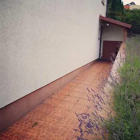 Apartament Studencki No 3 * Olsztyn (Warmian-Masurian)
